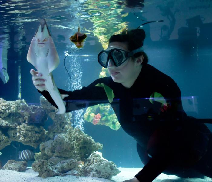 Aquarium & Shark Lab by Team ECCO
