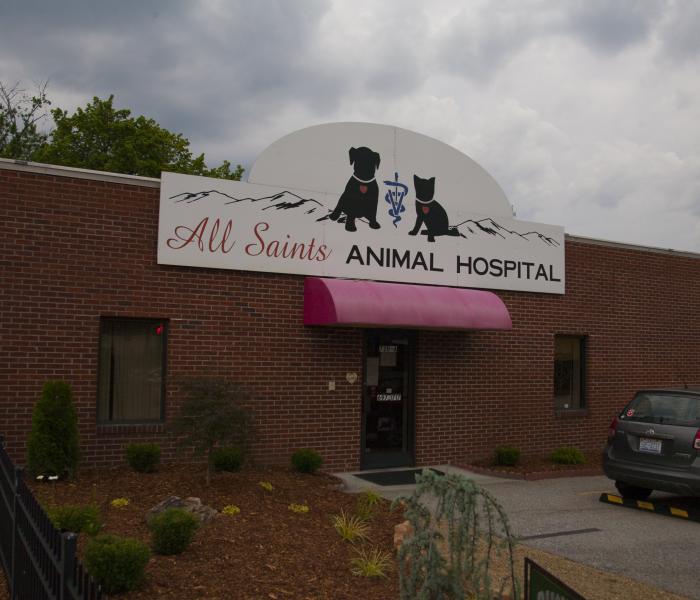 All Saints Animal Hospital