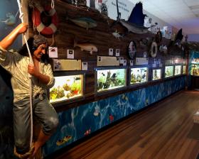 gallery wall