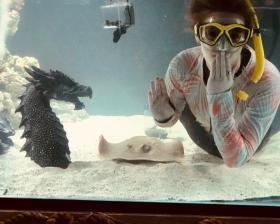 Diver with sting ray