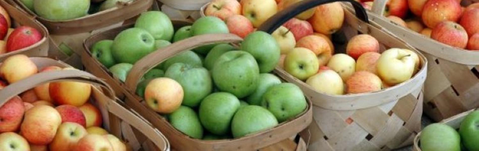 Bussels of apples from AF FB page