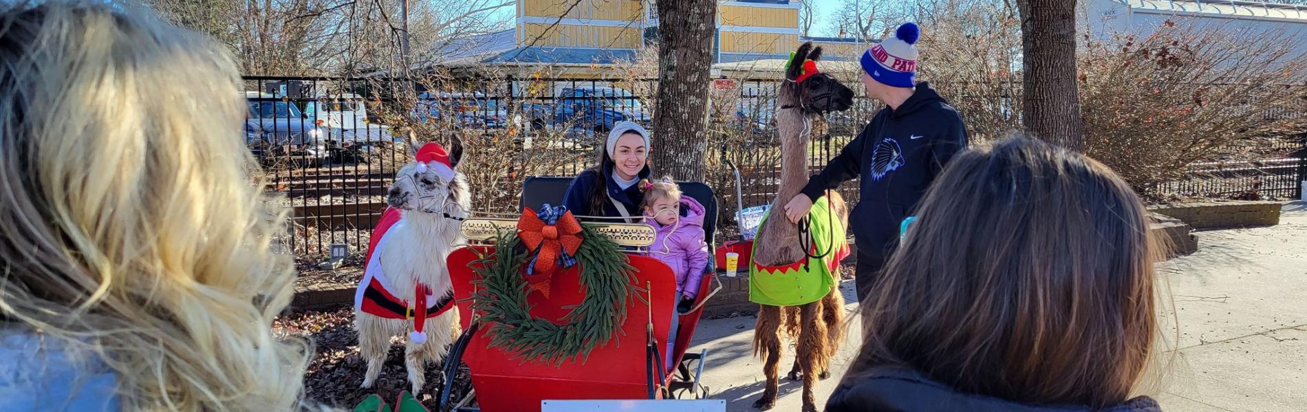 holiday market photos