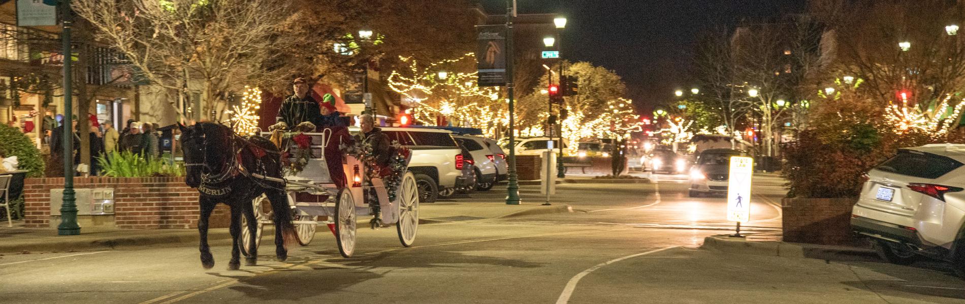 carriage ride in downtown
