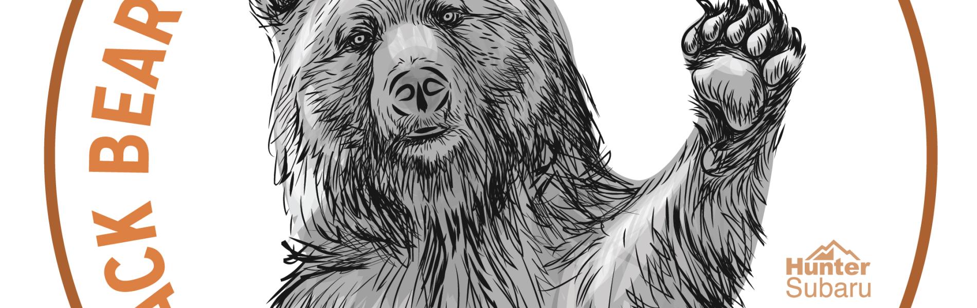 Black Bear Half Marathon & 8k logo