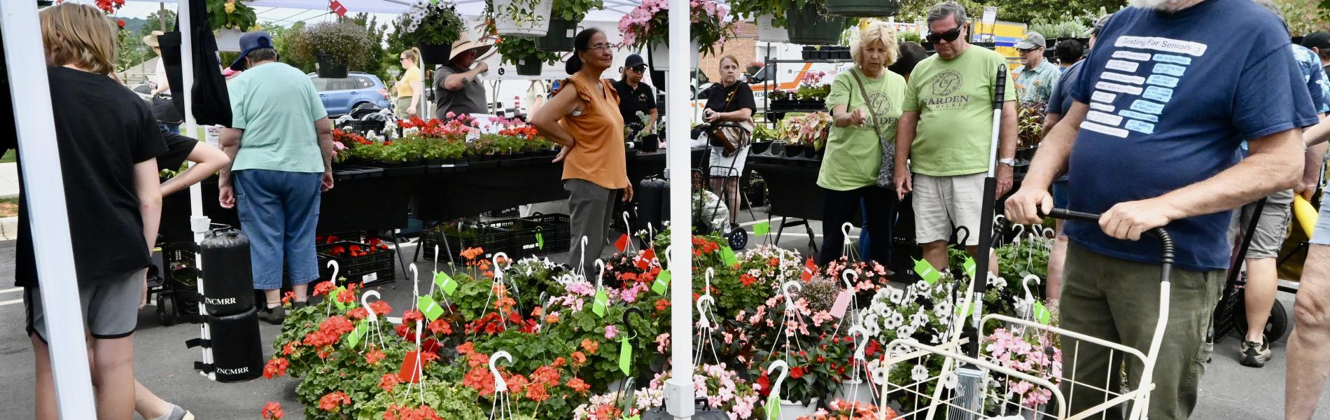 shopping at Garden Jubilee