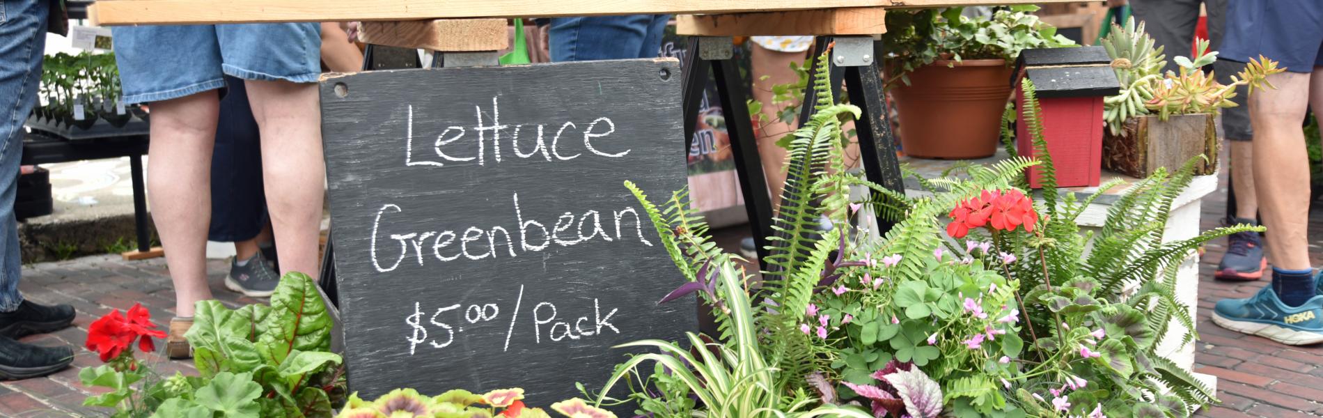 shopping at the farmers market