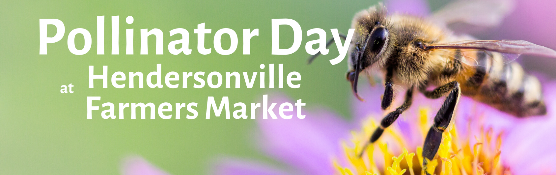 Hendersonville Farmers Market