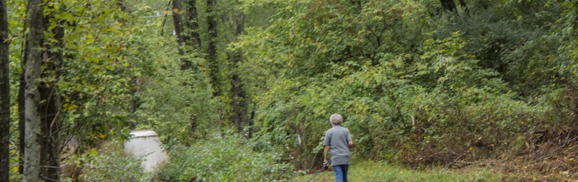 Lady walking dog down paved road, winding through trees