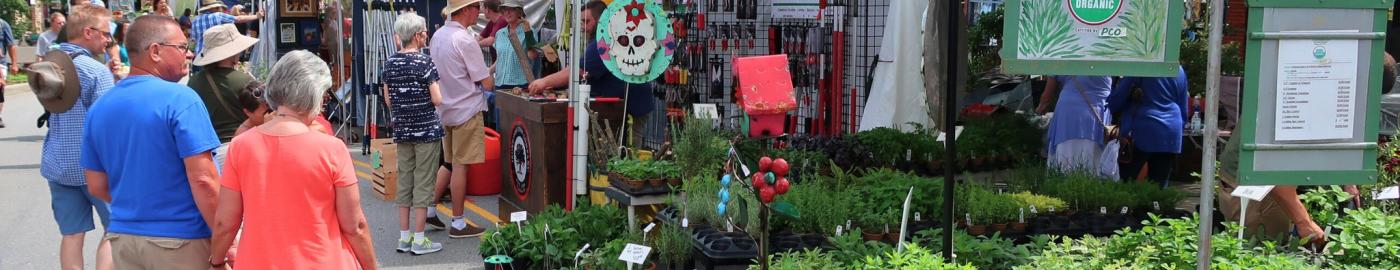 image of plants and tent at garden jubilee festival
