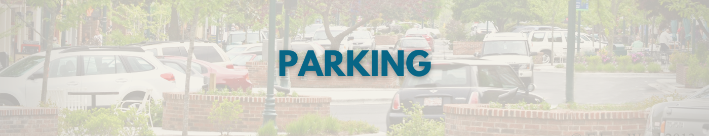 parking web header