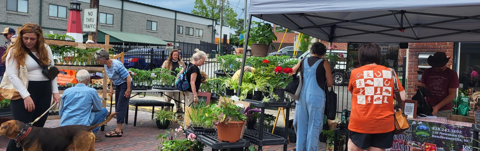 farmers market customers
