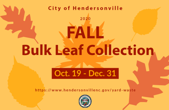 leaf outlines in fall colors