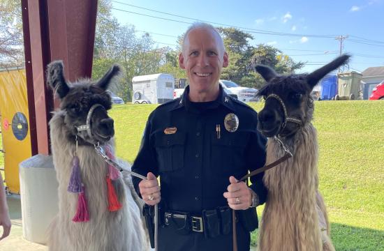 police chief standing with two llamas