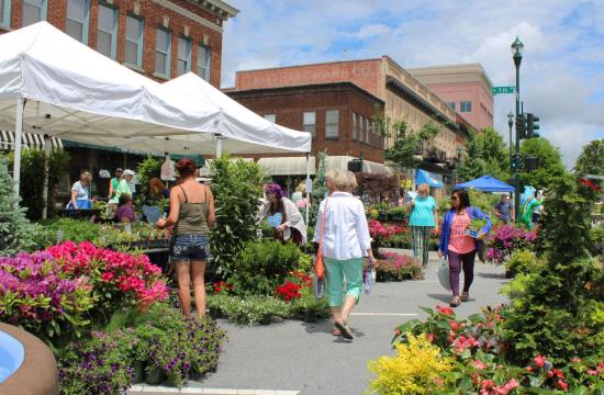 festival tents on main street with plants