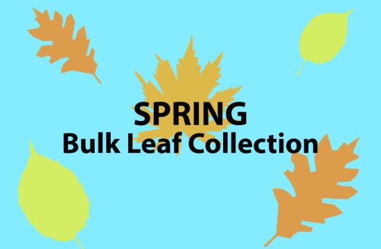 leaf cartoons