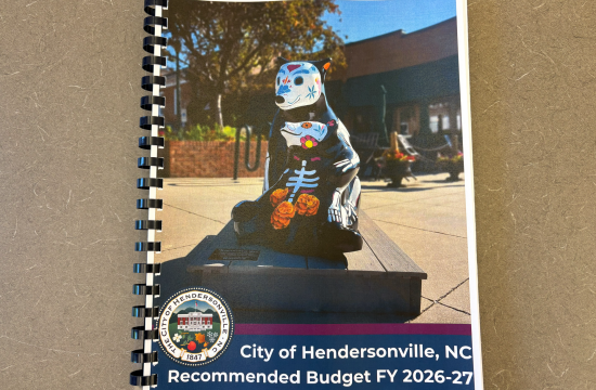 Book with photo of a bear statue on the cover