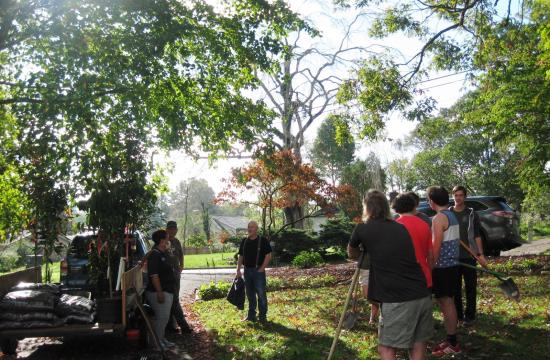 people planting a tree