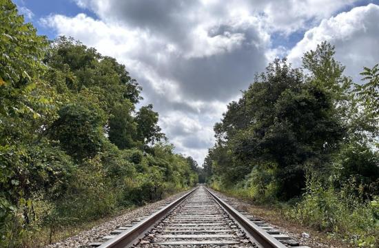 Railroad tracks surrounded by greenery