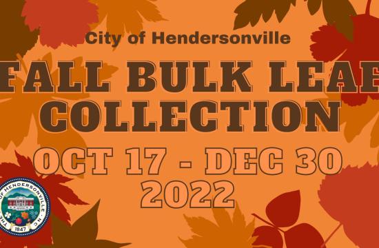 Fall Bulk Leaf Collection image with leaves surrounding letters