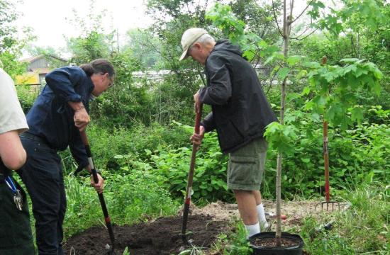 Two men digging a hole outside with a tree beside them to be planted.