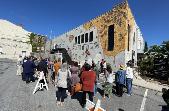 Bee Mural in downtown Hendersonville