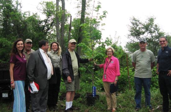 Photo of the Mayor standing with seven individuals outside holding a tree.