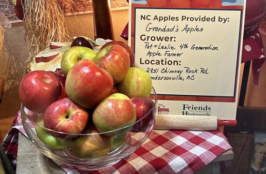 A basket of apples in a window display.