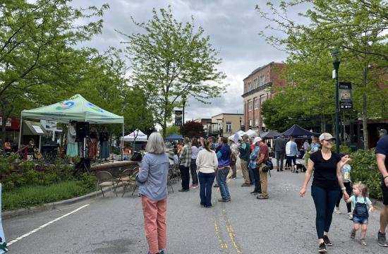 A busy main street with vendor booths and visitors enjoying Hendo Earth Fest.