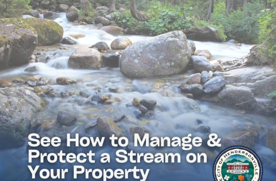 Picture of a stream with flowing water and rocks.