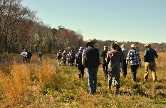 Various people walk in a field outside by trees, being led on a tour.