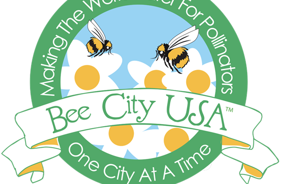 bee and flowers on a logo