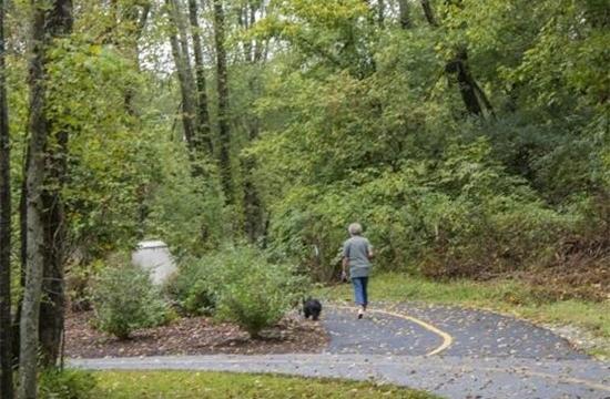 greenway and trees