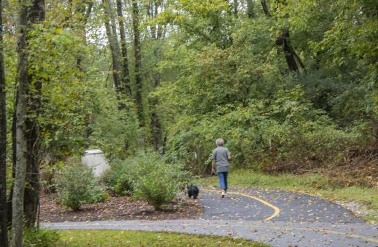 Lady walking down paved road with dog on leash through green trees