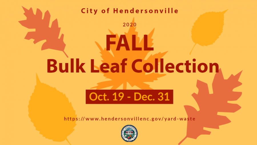 leaf outlines in fall colors