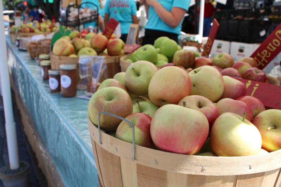 basket of apples