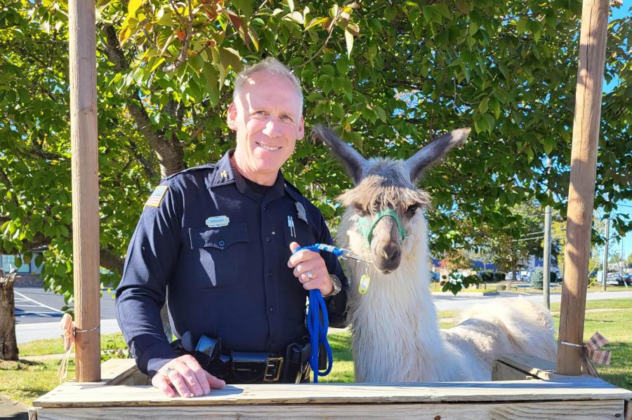 police chief with a llama