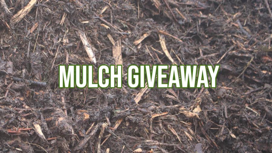 mulch pile