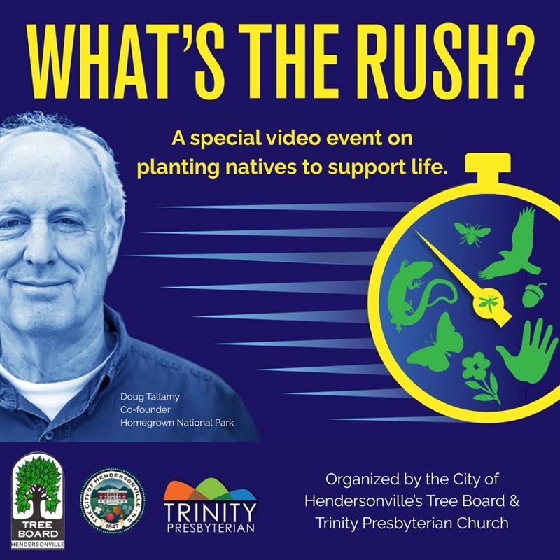 Man and a stop watch logo with text "What's the Rush"