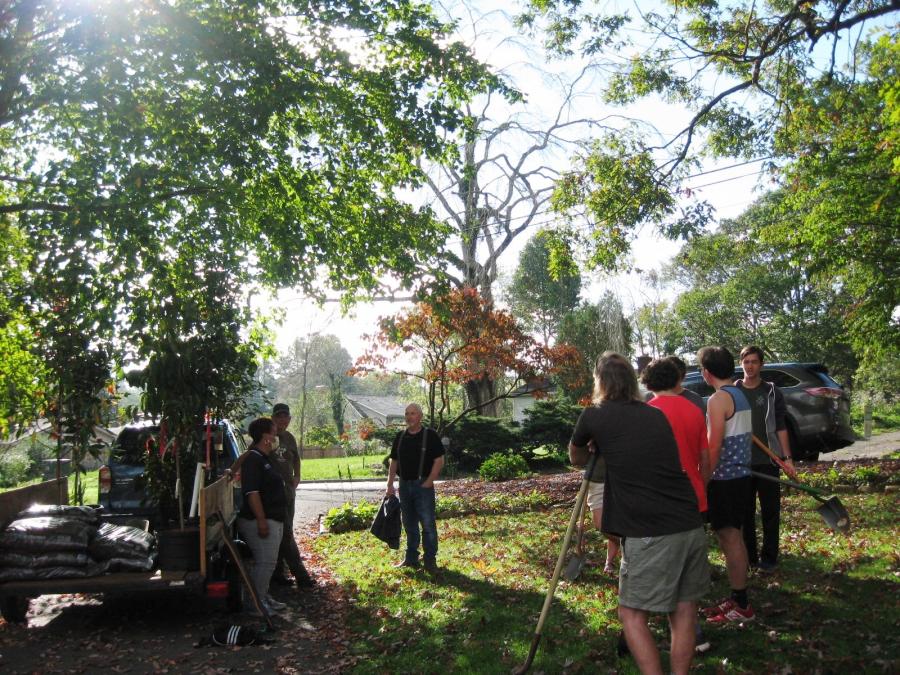 people planting a tree