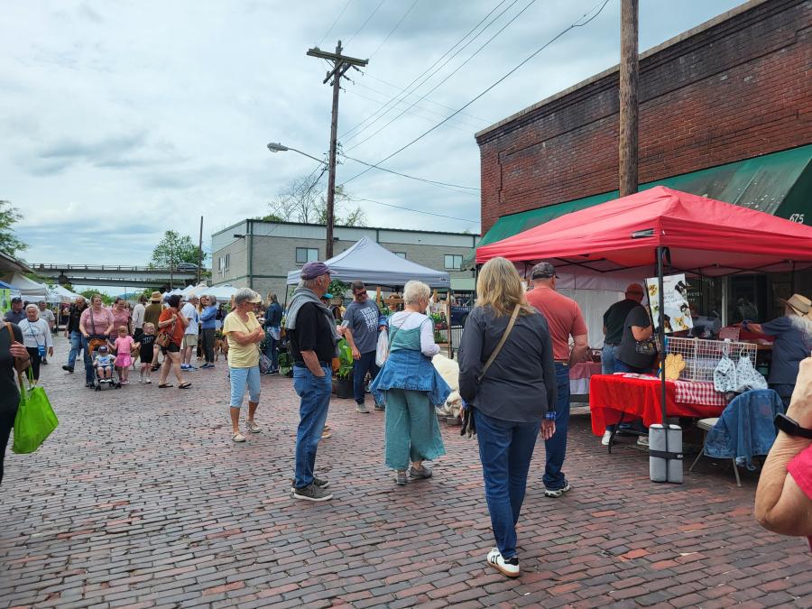 customers at the farmers market shopping