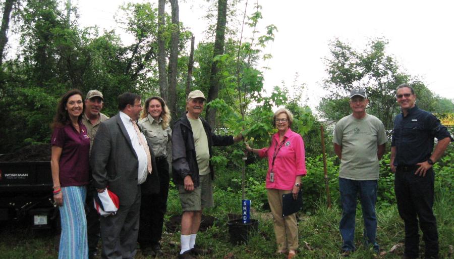 Photo of the Mayor standing with seven individuals outside holding a tree.