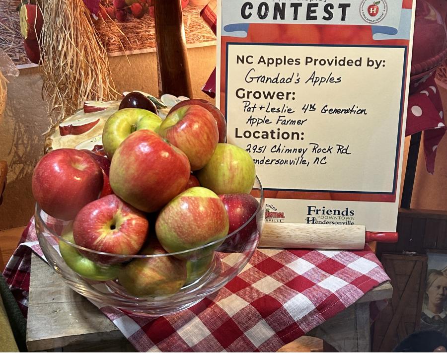 A basket of apples in a window display.