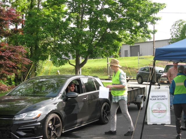 Cars driving through Bradford Pear Bounty Event, with a volunteer guiding traffic.