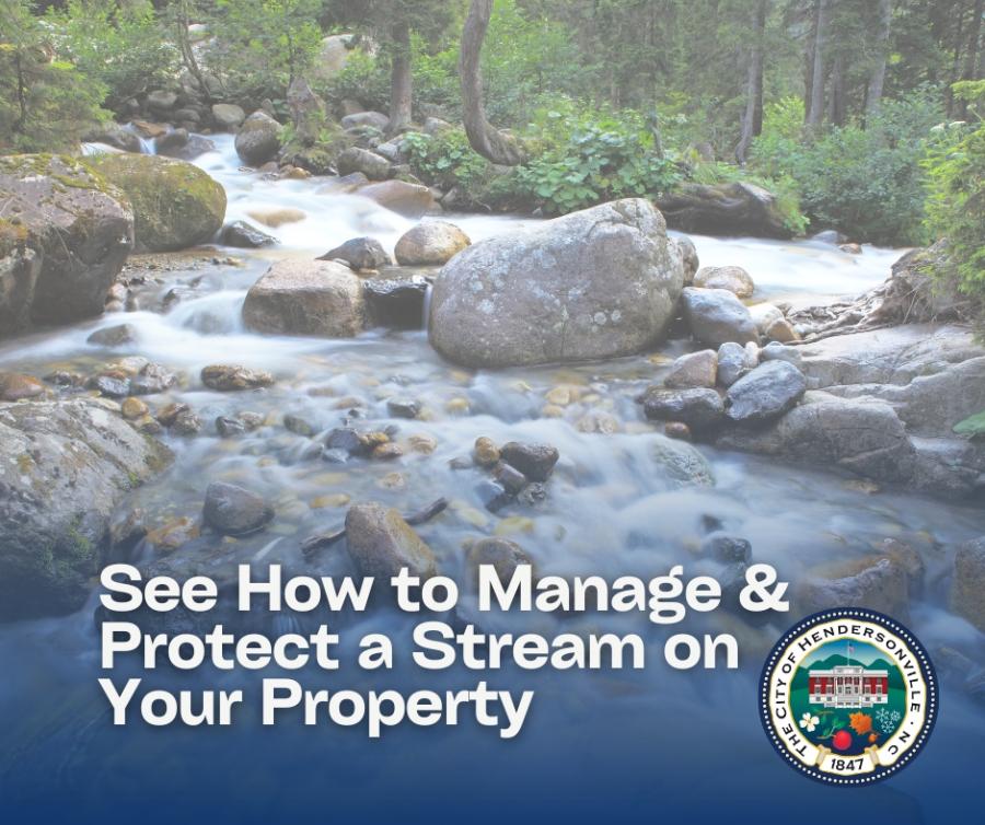 Picture of a stream with flowing water and rocks.
