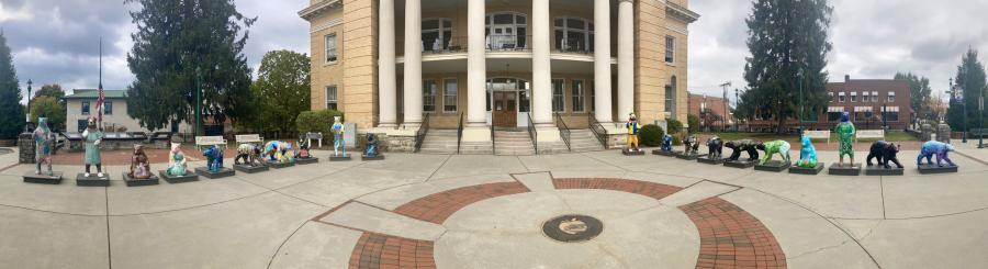 bears at the courthouse
