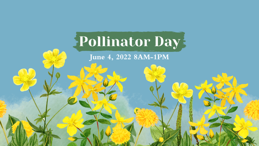 Pollinator Day June 4th 8am-1pm