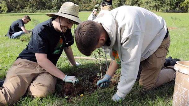 two people planting a tree