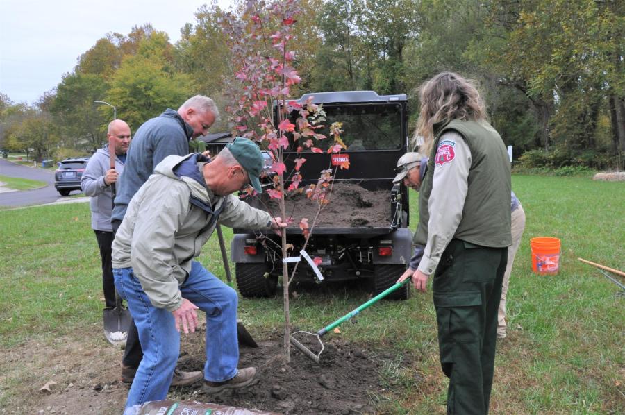 tree planting