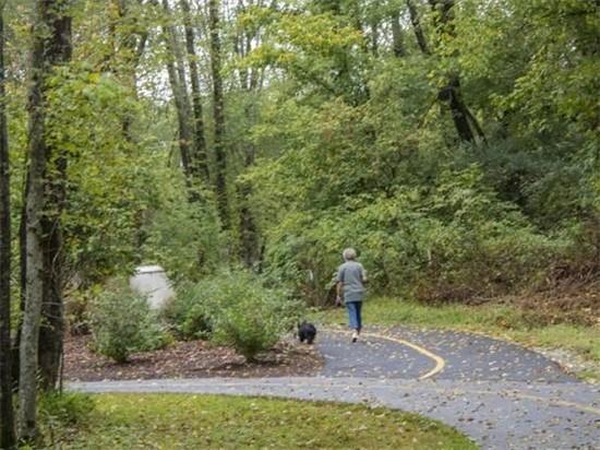 greenway and trees