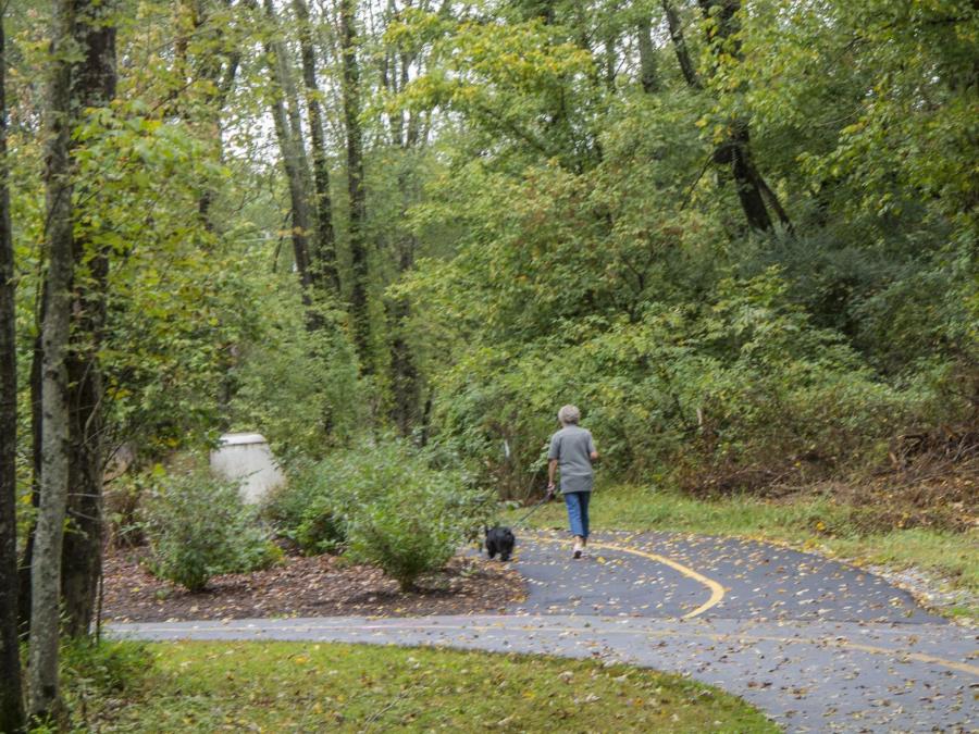 Lady walking down paved road with dog on leash through green trees